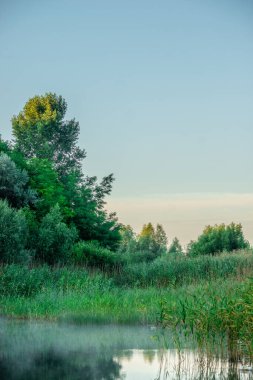 Arka planda bir göl olan yaz manzarası