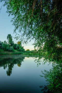 Yazın akşamları güzel bir göl ve önlerinde ağaçlar.