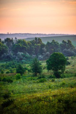 Tarlanın üzerinde güzel bir gün batımı