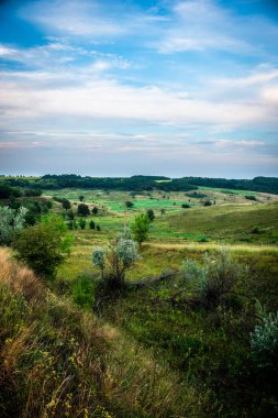 yeşil tarla ve mavi gökyüzü