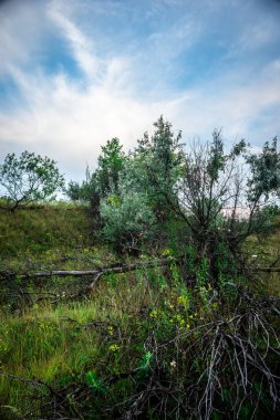 Kırsal kesimde eski ahşap çitler
