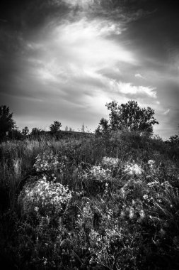 Güzel bir manzaranın siyah beyaz fotoğrafı