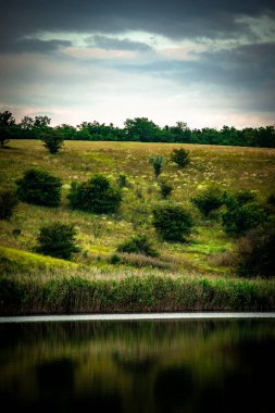 Yeşil çimenli güzel göl