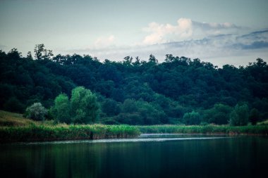 Sabah nehir ve orman