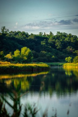 Göl ve ormanlı güzel bir manzara.