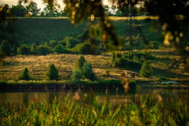 Ormanda nehri olan güzel bir manzara.