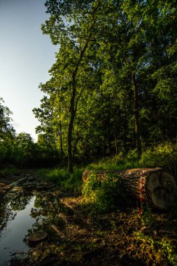 Gölde güzel bir gün batımı.