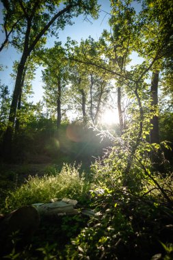 Parkın güzel manzarası