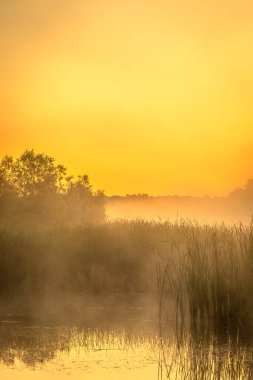 Nehrin üzerinde gün batımı