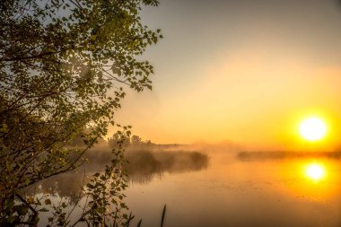 Nehrin üzerinde sabah sisi.