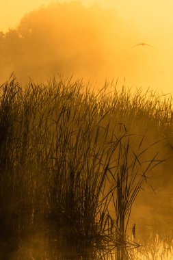 Gölün üzerinde güzel bir gün batımı