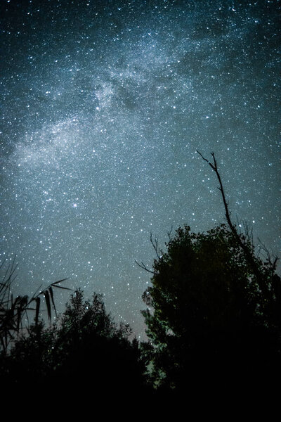 night sky with stars and milky way