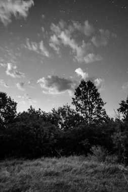 Yıldızlı güzel gece gökyüzü