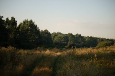 Arka planda ağaçlar olan yeşil bir alanın dikey görüntüsü