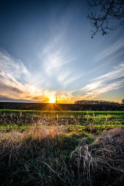 Günbatımının altındaki yeşil alanın dikey görüntüsü.