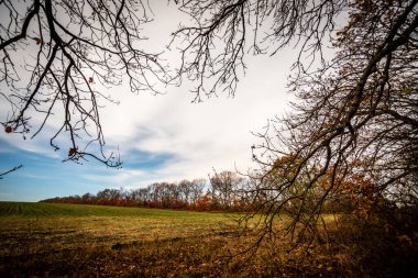 Kırsal kesimde renkli sonbahar manzarası, Slovakya