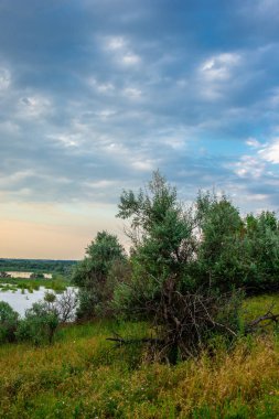 Nehrin yaz manzarası, yeşil çimenler ve bulutlu mavi gökyüzü..