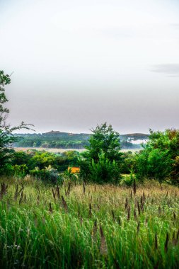 Ağaçlı ve ağaçlı güzel bir manzara.