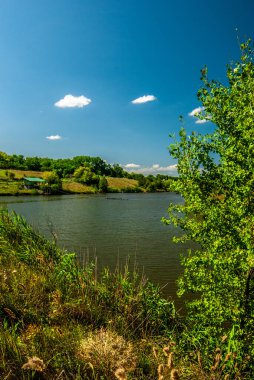 Nehir ve gölü olan güzel bir manzara.