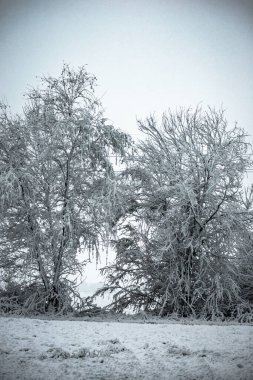 Karlı güzel kış manzarası