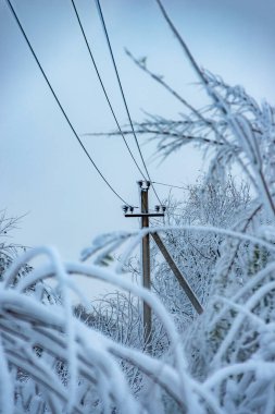 elektrik direği ve kablo