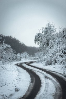 Karla kaplı bir yol ve kışın üzerinde kalın bir ağaç tabakası.
