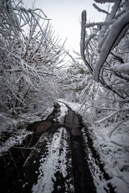 Kış yol kar yağışı sonra