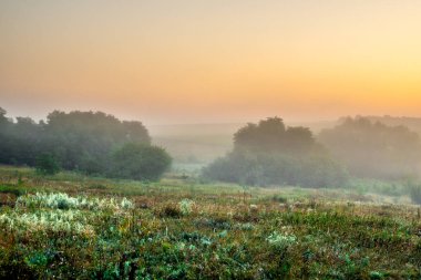 Kırsalda sisli bir sabah