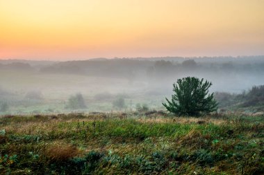 Bir tarlası, bir ormanı, bir gün doğumu, ön planda sis olan sisli sonbahar manzarası.
