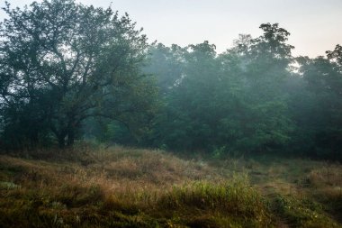 Doğanın güzel manzarası