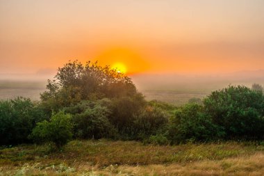 Sunrise alanında