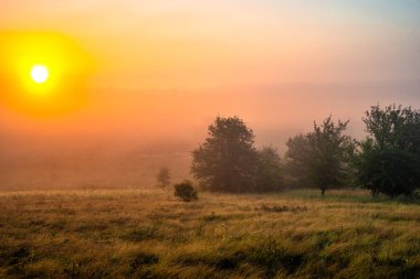 puslu çayır üzerinde gündoğumu