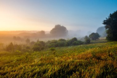 Ormanda gün doğumu. Sabah sisi tarlanın üzerinde