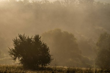 Kırsal kesimde puslu sabah