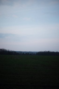 Çimen tarlası olan güzel bir manzaranın dikey çekimi.