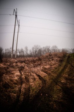 Ağacı ve geniş arazisi olan güzel bir manzara.