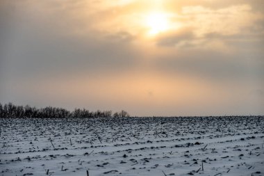 Kış gündoğumuyla kar tarlası