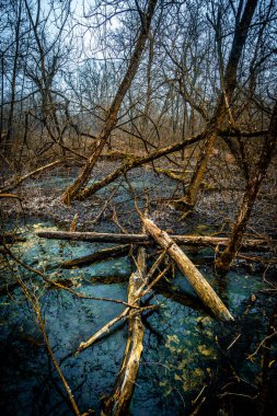 sonbahar aylarında nehir