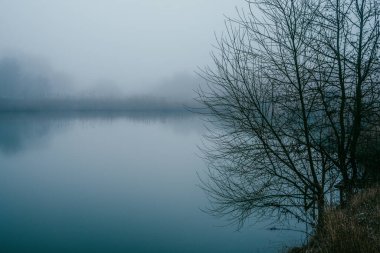 Gölde sisli bir sabah