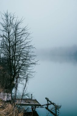 Sabah ormandaki gölde.