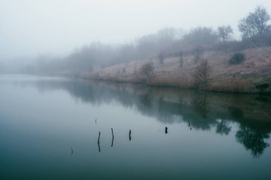 Sisli bir sabah sisli bir gölde