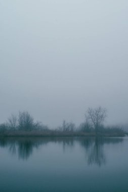 Nehir ve gölü olan güzel bir manzara.