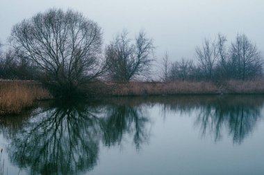 Kış boyunca ağaçlarla çevrili güzel bir nehir görüntüsü.
