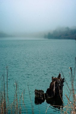 Güzel göl manzarası