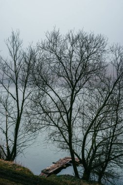 Güzel göl manzarası