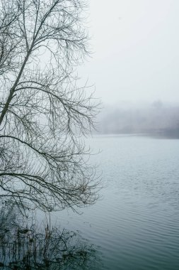 Güzel göl manzarası