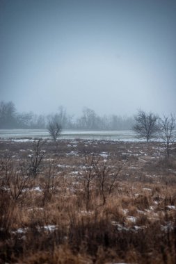 Kar ve ağaçlarla kaplı kış manzarası