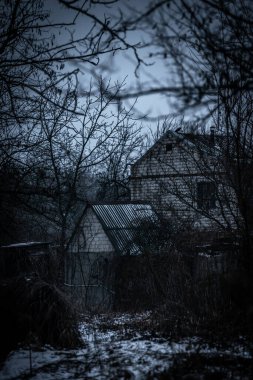 Ormandaki ahşap bir evin dikey görüntüsü.