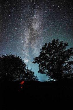 Gece gökyüzü, yıldızlar, samanyolu, dağlardaki ağaçlar