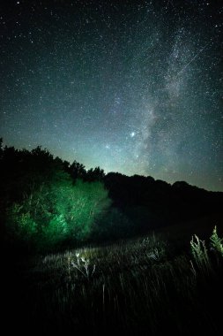 Samanyolu 'nun gece manzarası. Ormanda ve Samanyolu 'nda bir yol.